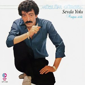 Sevda Yolu kapağı