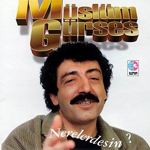 Nerelerdesin? kapağı