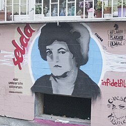 Selda Bağcan portresi