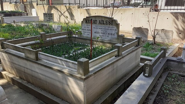 Akdes Nimet Kurat portresi