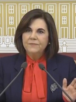 Gaye Usluer portresi