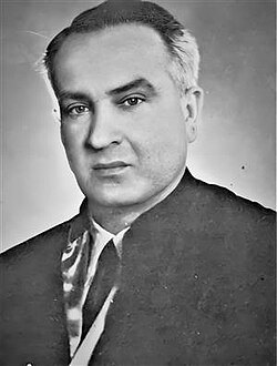 Mehmet Necmettin Berkin portresi