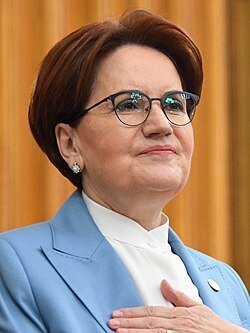Meral Akşener portresi
