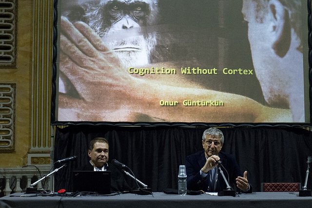 Onur Güntürkün portresi