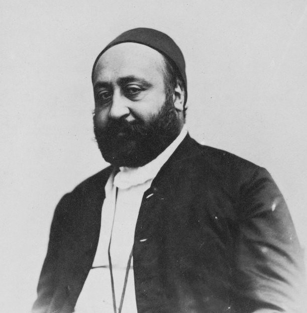 Ahmed Vefik Paşa portresi
