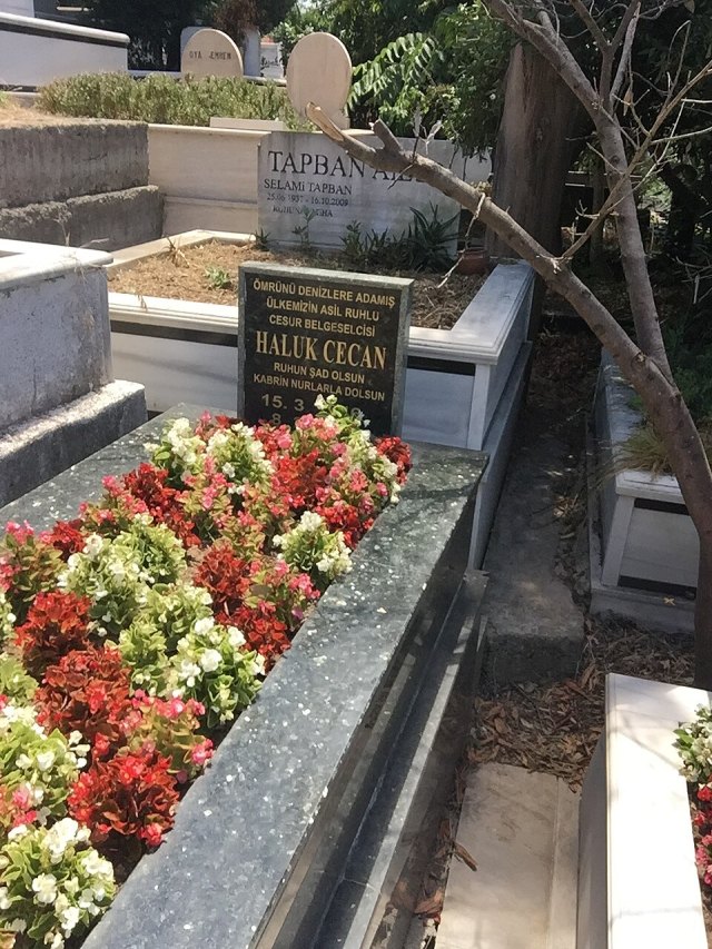 Haluk Cecan portresi