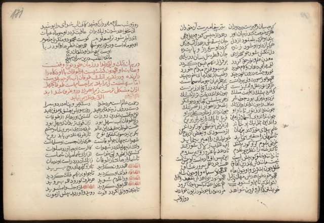 Sultan Veled portresi