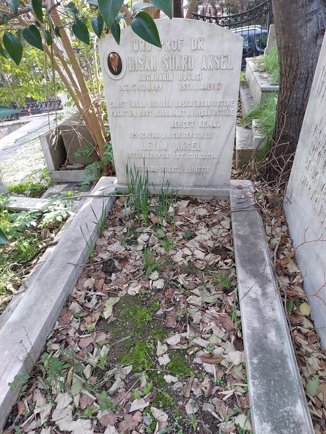 İhsan Şükrü Aksel portresi