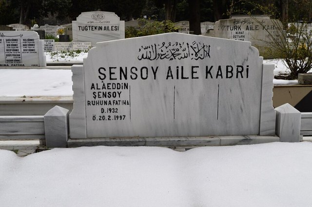 Alaeddin Şensoy portresi