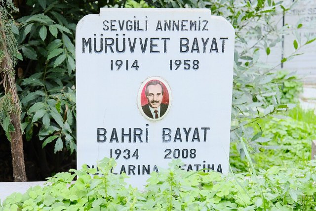 Bahri Beyat portresi