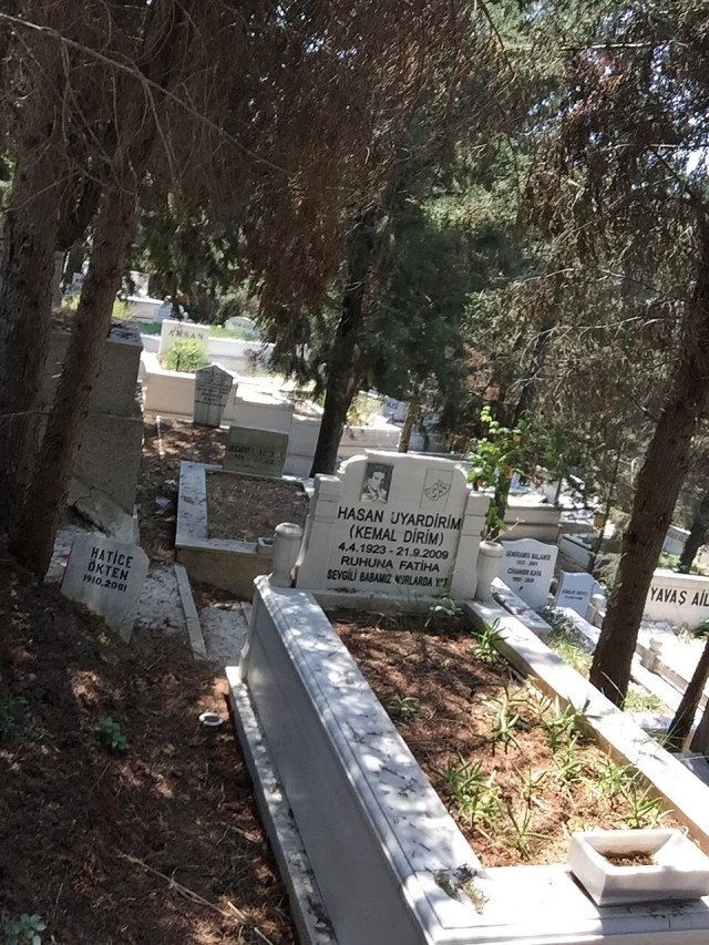 Kemal Dirim portresi