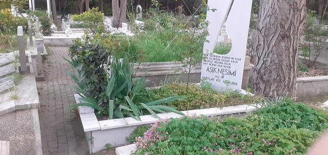 Nesimi Çimen portresi