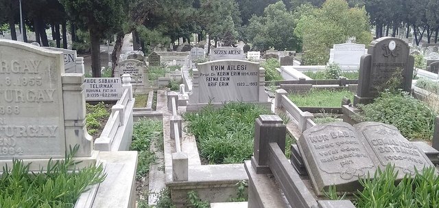 Kerim Erim portresi