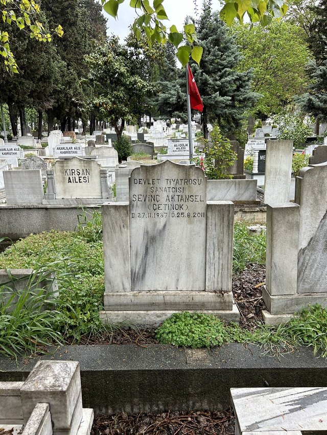 Sevinç Aktansel portresi