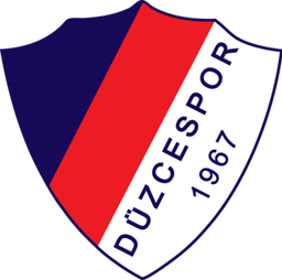 Düzcespor arması